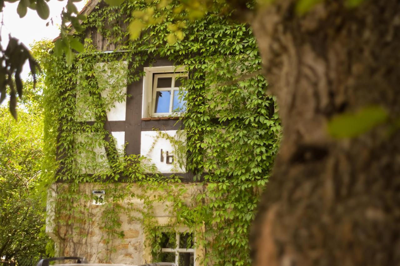 Naturferienwohnung Schopstal Kunnersdorf Экстерьер фото